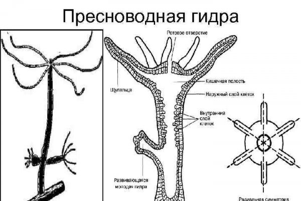 Кракен 17 af